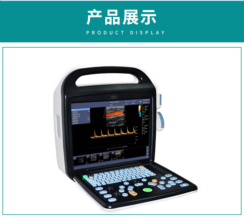 Kaier Pet Ultrasound Manufacturer Portable Equipment Animal B-ultrasound Machine Doppler Color B-ultrasound Machine