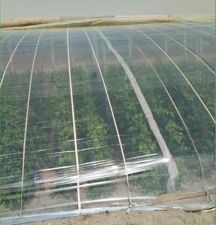 Shuaifeng Vegetable farming shed film PE plastic film grape shed film peanut film transparent plastic film factory wholesale