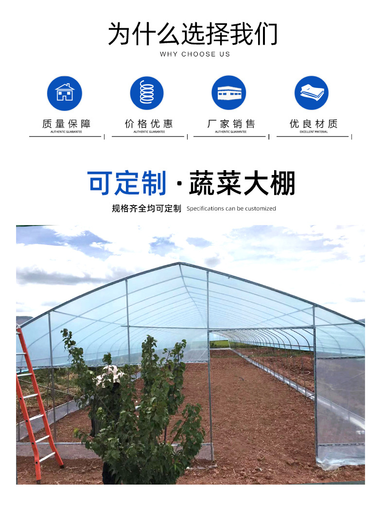 Taiyou Yi Film Greenhouse Greenhouse GR-004 Plastic Greenhouse Multi span Intelligent Greenhouse Design with Double Arch and Double Film