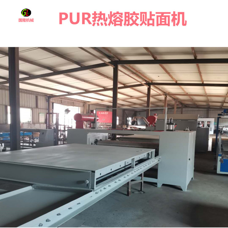 Guolong processing composite shaping 50 ton pressure plate machine, wooden door panel, honeycomb panel, decorative panel, cold press machine