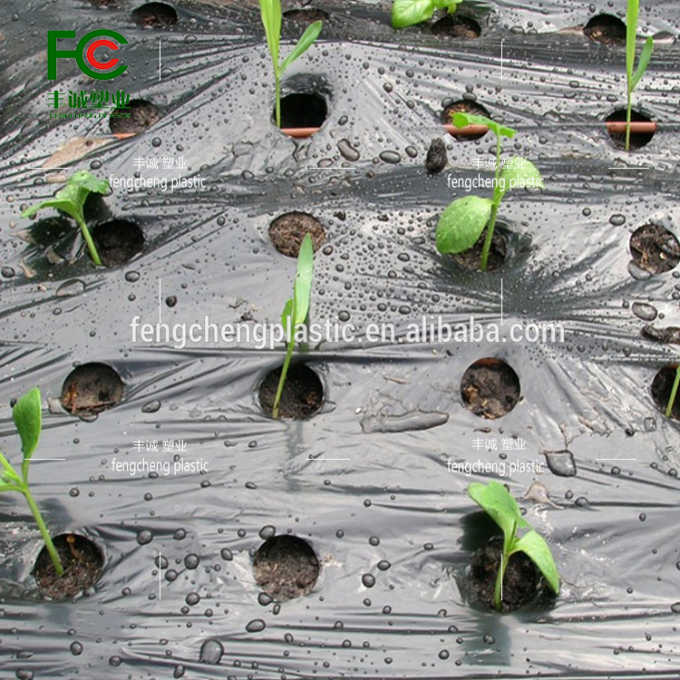 Punching holes, preventing weeds, weeding, moisturizing, agricultural planting, plastic film, orchard vegetables, plastic film, insulation film, greenhouse planting