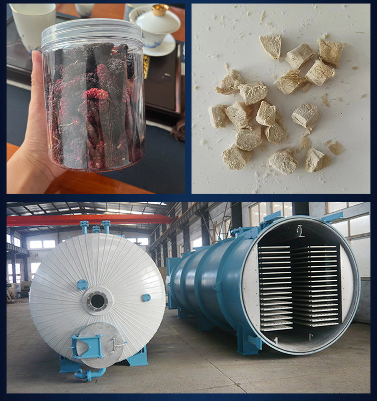 Yonglian DG-19 Tea Tree Mushroom Freeze-drying Machine is responsible for the installation, debugging, and quality assurance of the straw mushroom freeze-drying equipment