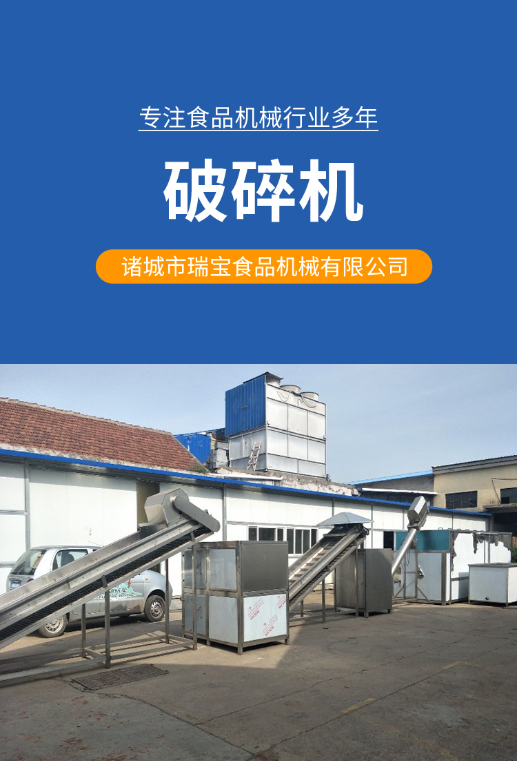 Ruibao Crushed and Ground Meat Production Line Cat Food Processing Large Frozen Meat Frozen Chicken Skin Crusher