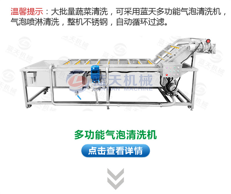 Magnolia Slice Drying Machine Large Heat Pump Fresh Bamboo Shoot Slice Drying Room Intelligent Drying Equipment for Tender Bamboo Shoot Tip Dried Bamboo Shoot