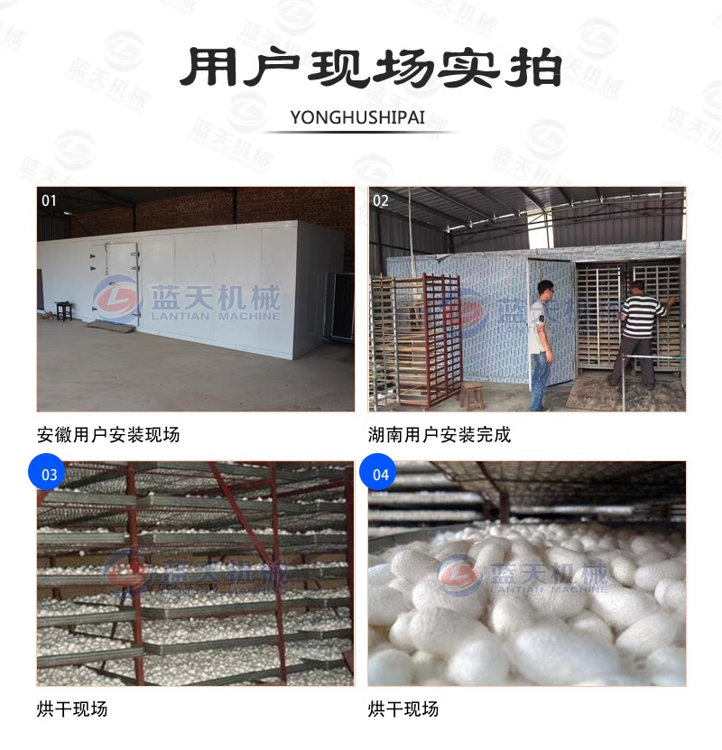 Silk Cocoon Drying Machine Fully Automatic Large Color Silk Cocoon Drying Room Silk Cloth Cocoon Yellow Cocoon Shell Dehumidification and Drying Equipment