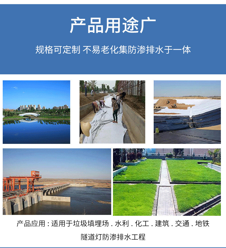 Huijie Fish Pond Breeding Biogas Pond Oxidation Pond Seepage Control Film Black HDPE Waterproof Composite Geomembrane