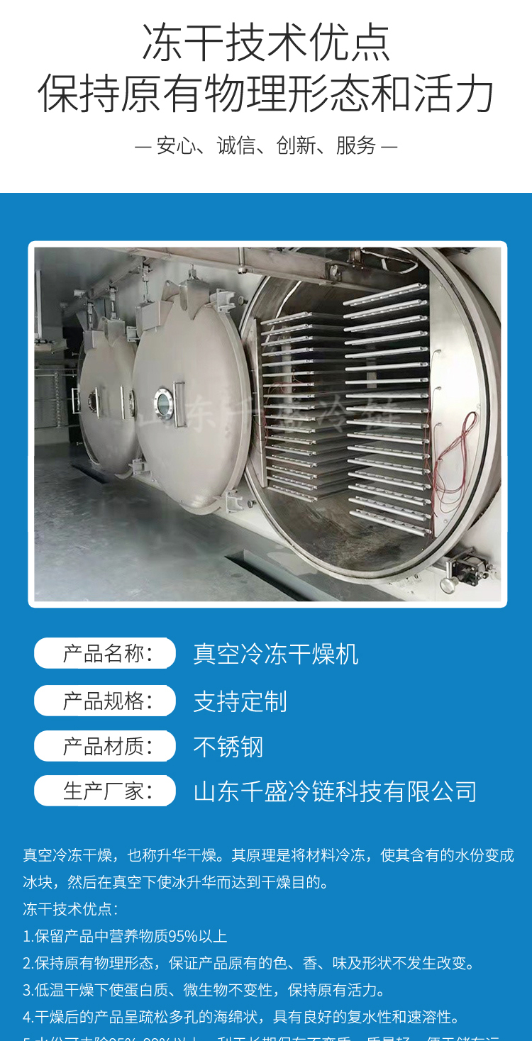 Strawberry vacuum freeze-drying machine, fruit drying freeze-drying equipment, vegetable freezing equipment, Qiansheng cold chain