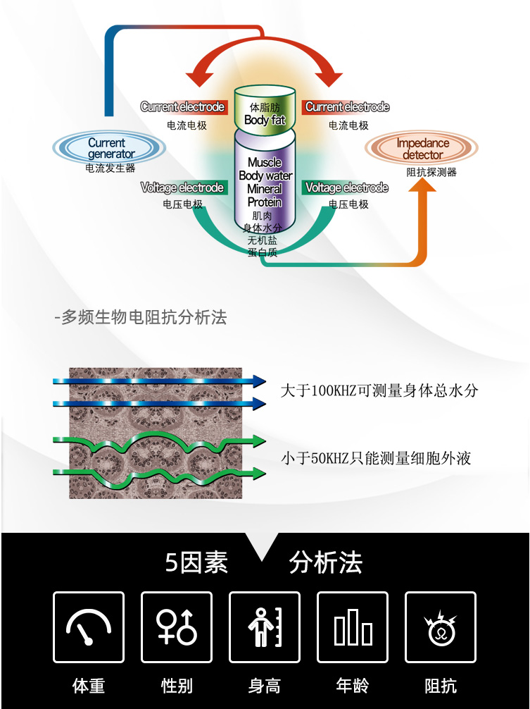 Body composition analyzer, body measurement instrument, body fat analyzer, imported from Korea with original packaging