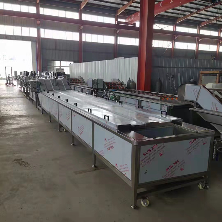 Fully automatic fruit and vegetable cleaning machine, crayfish cleaning equipment, spray type zongzi leaf Chinese herbal medicine bubble cleaning machine