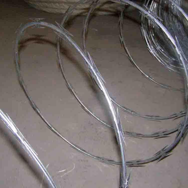 Hot dip galvanized mesh highway anti climbing blade stab rope A stab wire rolling cage BTO-22 Keyan metal