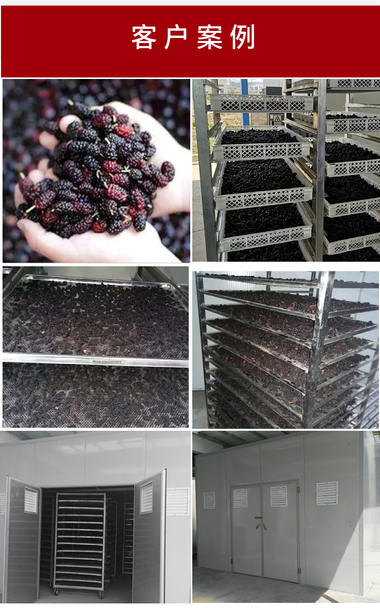 Xiangsheng Agricultural Products Preserved Fruit and Mulberry Drying Box Type Hot Air Circulation Drying Equipment