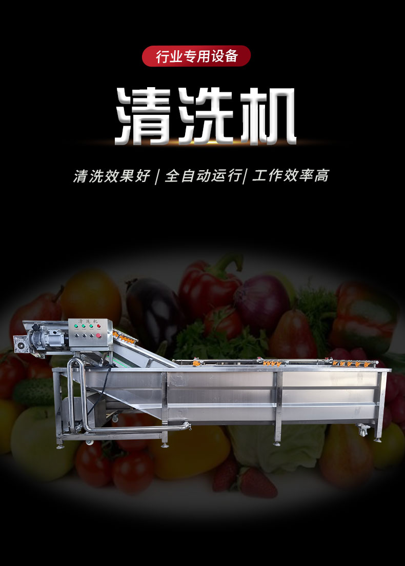 Large mushroom cleaning machine, bubble cleaning machine, fully automatic high-pressure spray vegetable washing machine