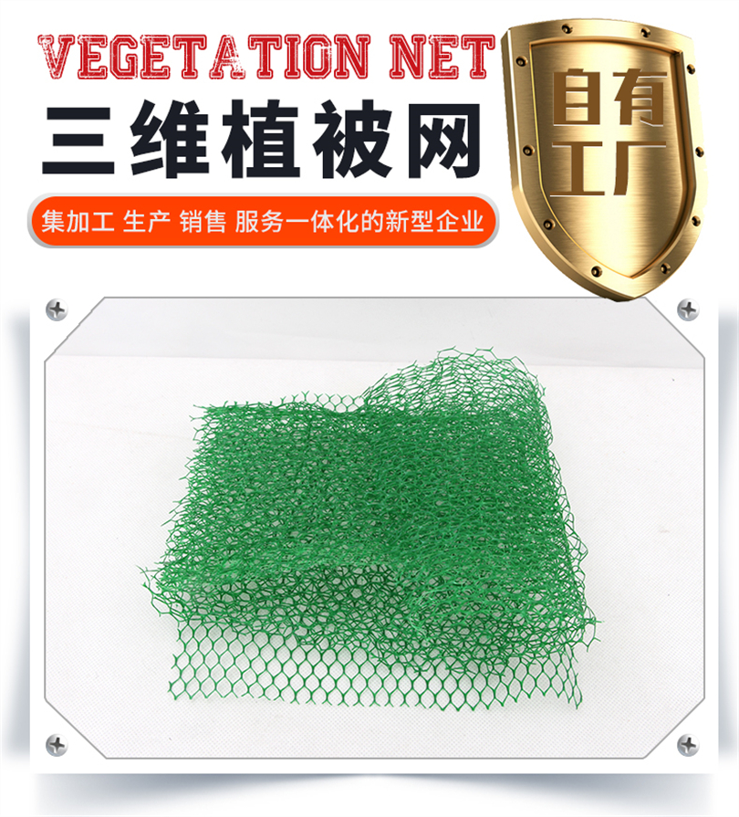 Green Grass Planting Net, Slope Greening, 3D Vegetation Net, Ecological Slope Protection EM2/EM3 Geonet Cushion Geonet