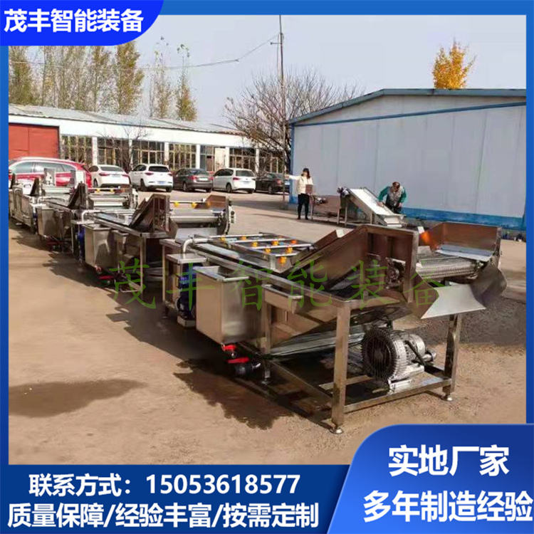 Fruit and vegetable bubble cleaning machine to remove agricultural residues, vegetable washing machine, prefabricated vegetable production and processing line, customizable