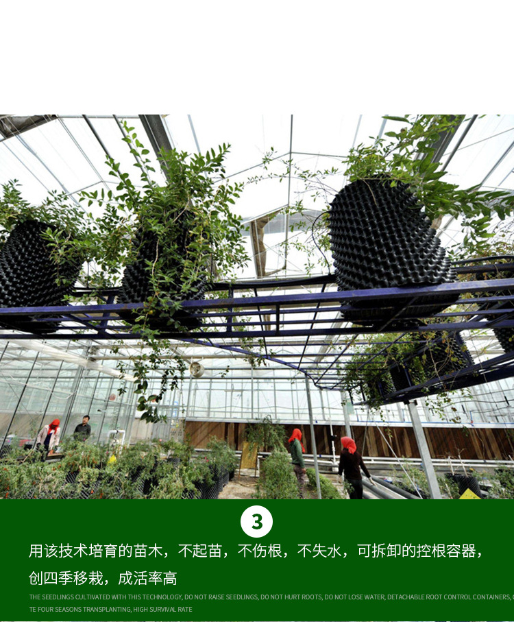 Root control device PVC garden seedlings, fruit trees, transplanting, root protection, and root control container for rapid seedling cultivation and root restriction