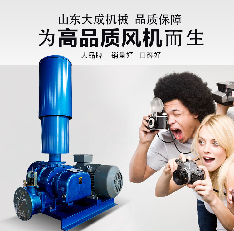 Roots blower manufacturer's backwash three blade Roots blower has long service life and quality assurance