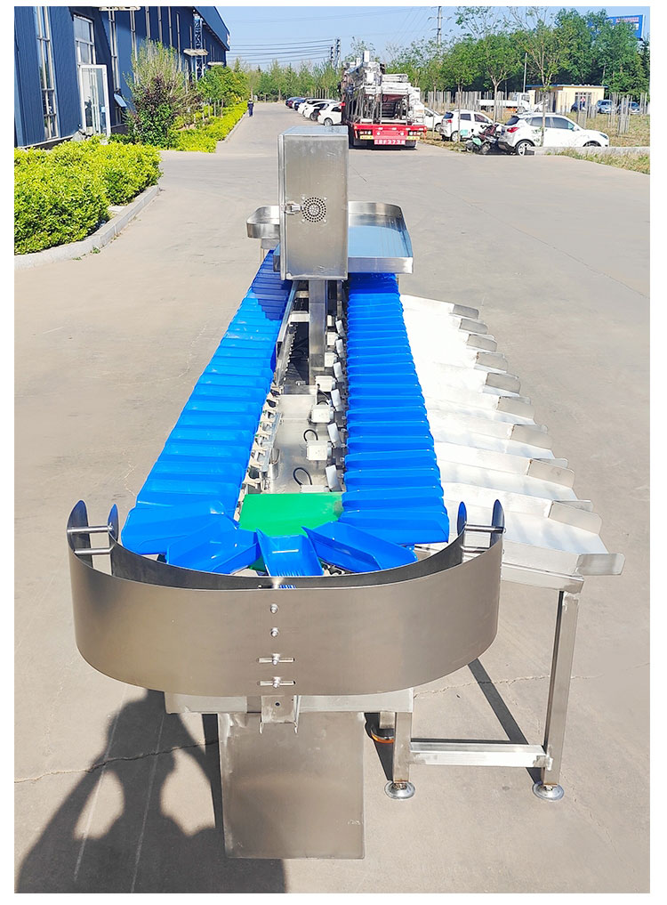 Chicken Claw Material Box Sorter High Precision Oyster Sorting Equipment Fish Automatic Weighing and Grading Machine