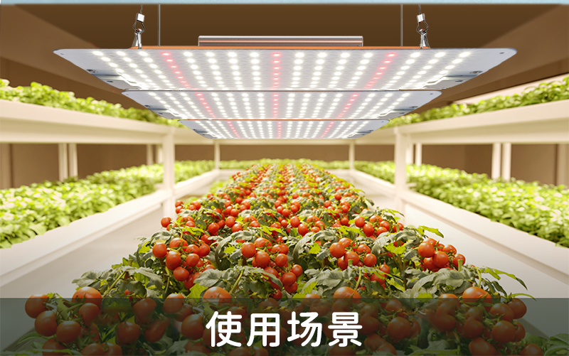PCB quantum board Grow light full spectrum greenhouse fleshy vegetable flower potted LED fill light