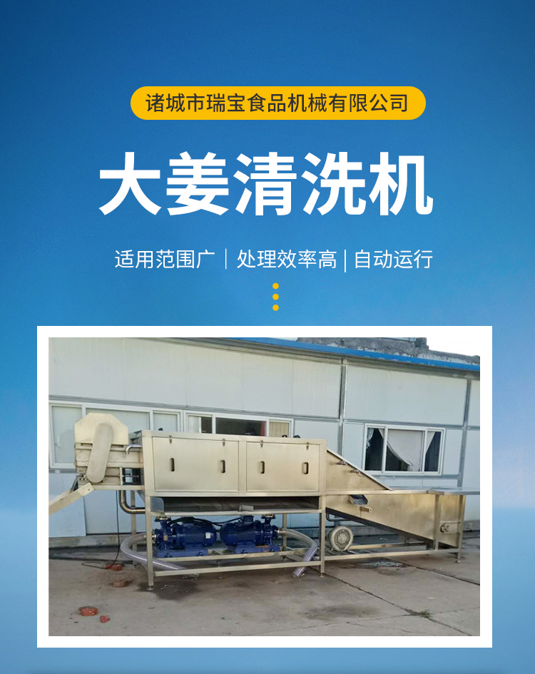 Manufacturer of fully automatic ginger sprout cleaning equipment with flipping ginger washing machine