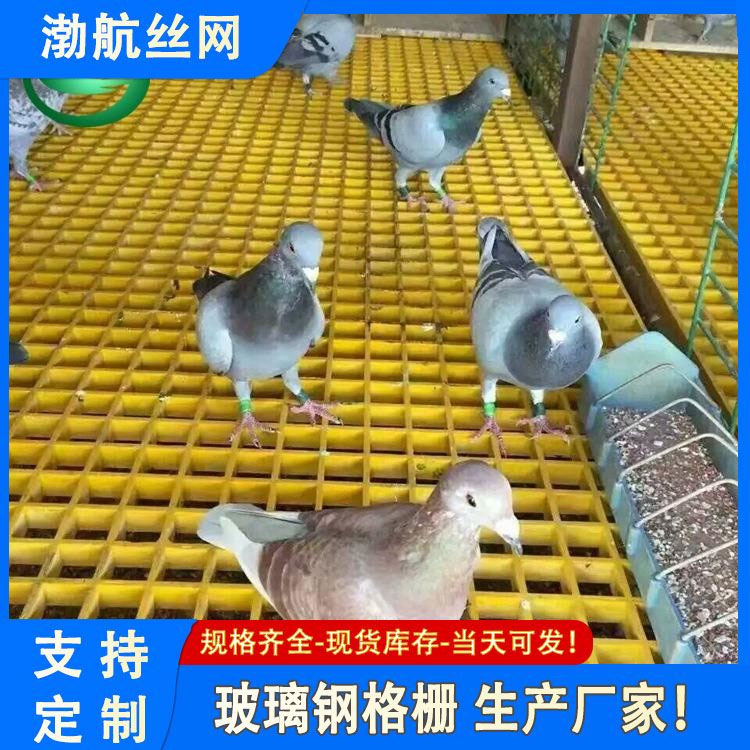 渤航丝网 养殖场漏粪板玻璃钢格栅生产厂家 防腐美观 耐磨耐蚀