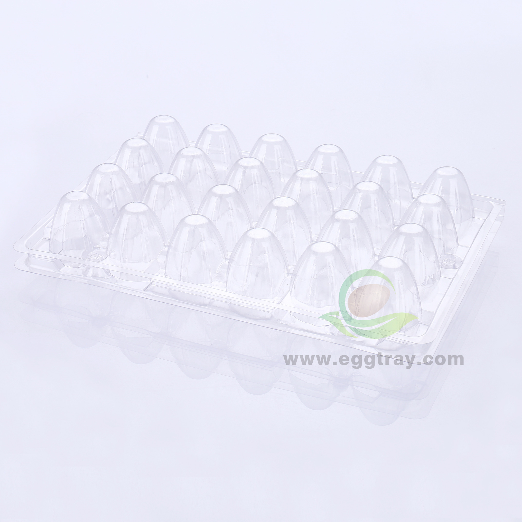 One time plastic Quail eggs tray 24 transparent shockproof thickened packaging boxes Quail eggs trays factory direct wholesale