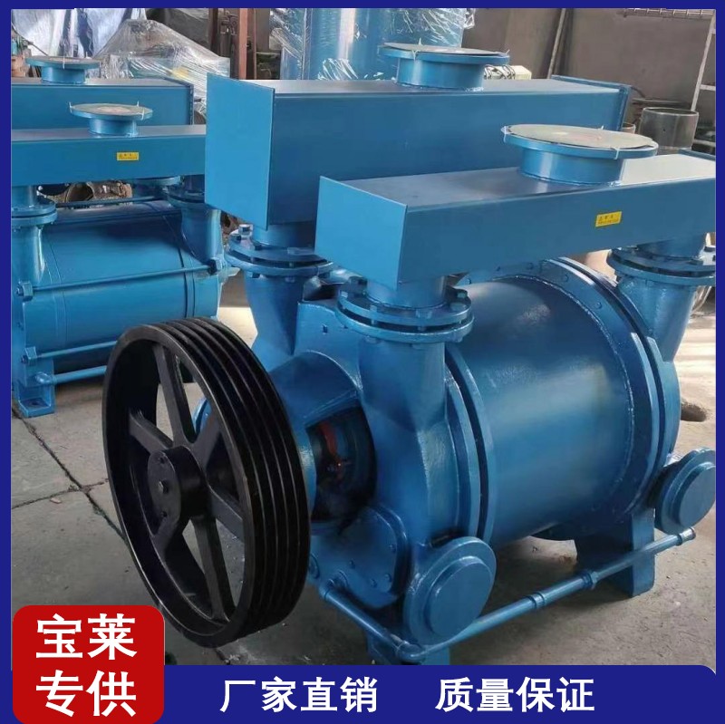 2BV5110 Water Ring Vacuum Pump Baolai Cast Iron Material Suction Negative Pressure Pump Supports Customization