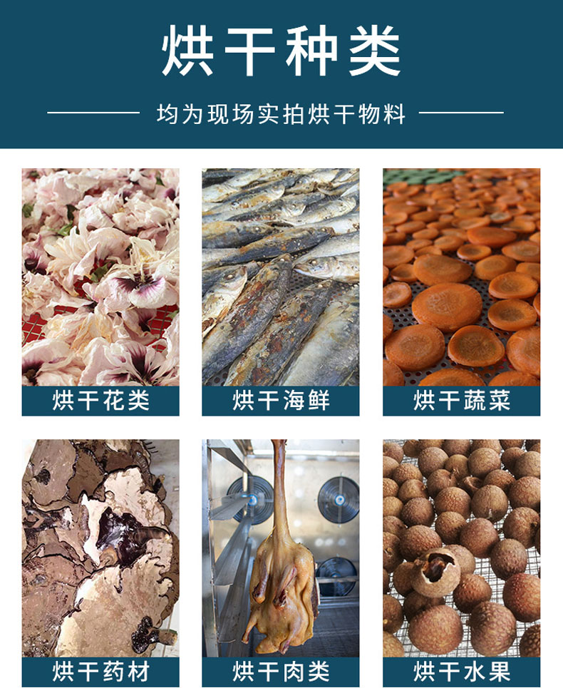 Huazhong Customized Food Drying Machine Large Scale Melon and Fruit Fungus Drying Equipment Asparagus and Carrot Agricultural Product Drying Room