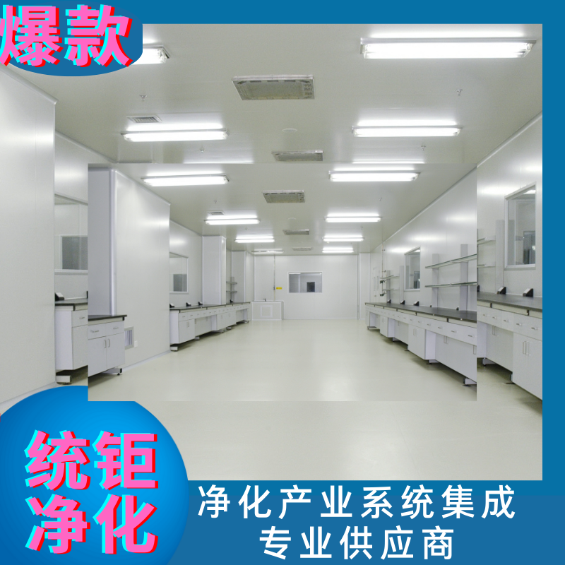 Tongju Purification Equipment 100000 Class Clean Shed Manufacturer Environmental Protection Equipment Laminar Flow Hood Air Purification Complete Equipment