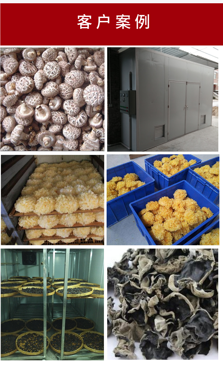 Air Edible Mushroom Drying Machine Xiangsheng Mushroom, Mushroom, Tea Tree Mushroom, and White Fungus Energy Saving Drying Equipment