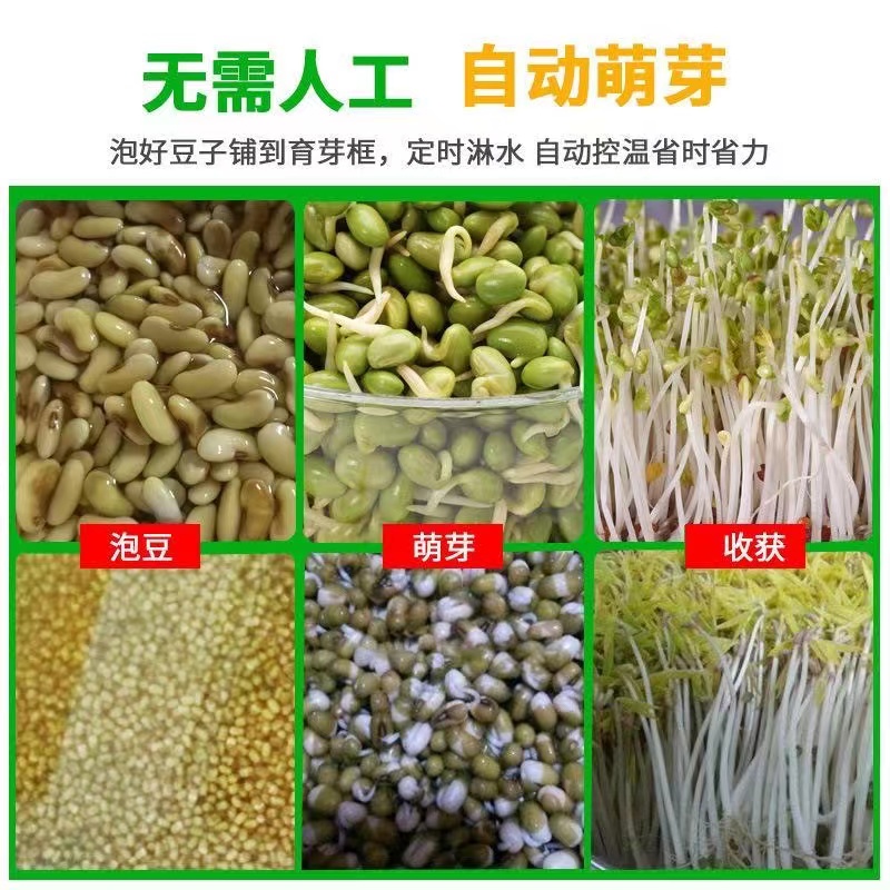 Manufacturer of multifunctional bean product equipment for a small daily production line of 300 kg bean sprout machine