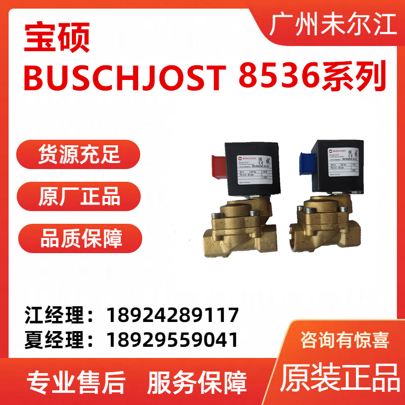 Baoshuo BUSCHJOST brass two-way solenoid valve 8536200915102400 original special sales