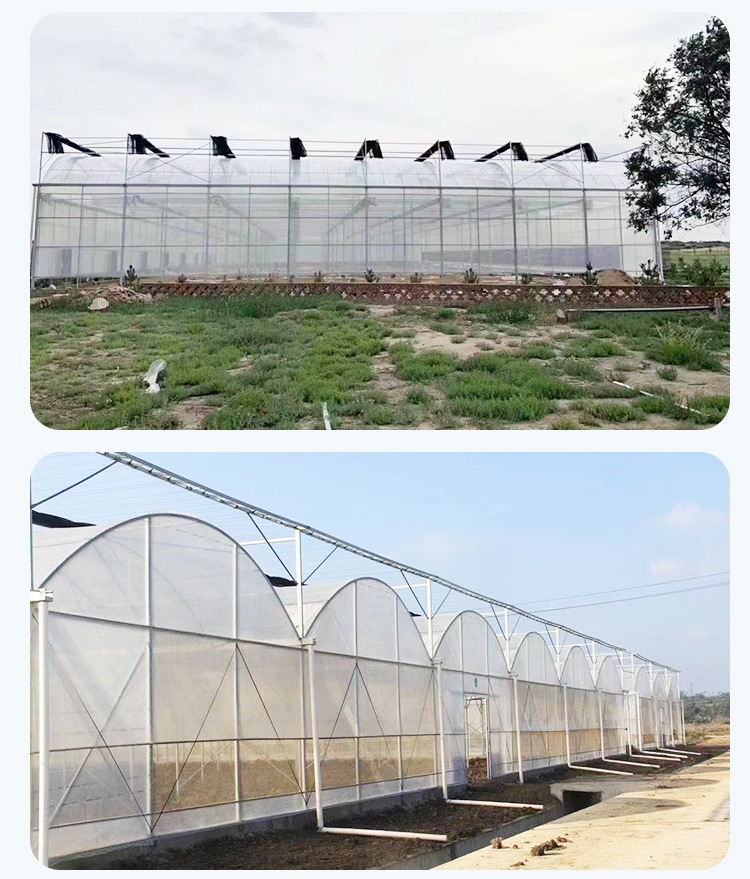 Intelligent Glass Greenhouse New Vegetable Greenhouse Construction with High Light Transmittance and Short Installation Period