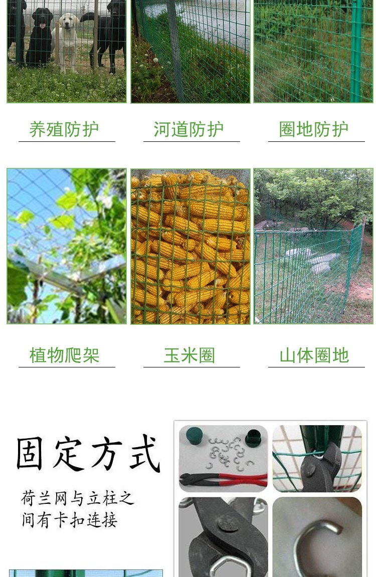 Customized installation and construction of the fence net factory isolation net manufacturer for the Dutch net breeding farm with impregnated plastic