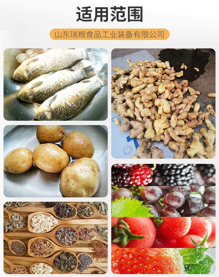 Stainless steel edamame steaming and cooking machine, red dates steaming and cooking equipment, goji berry cleaning and blanching machine, Ruiliang
