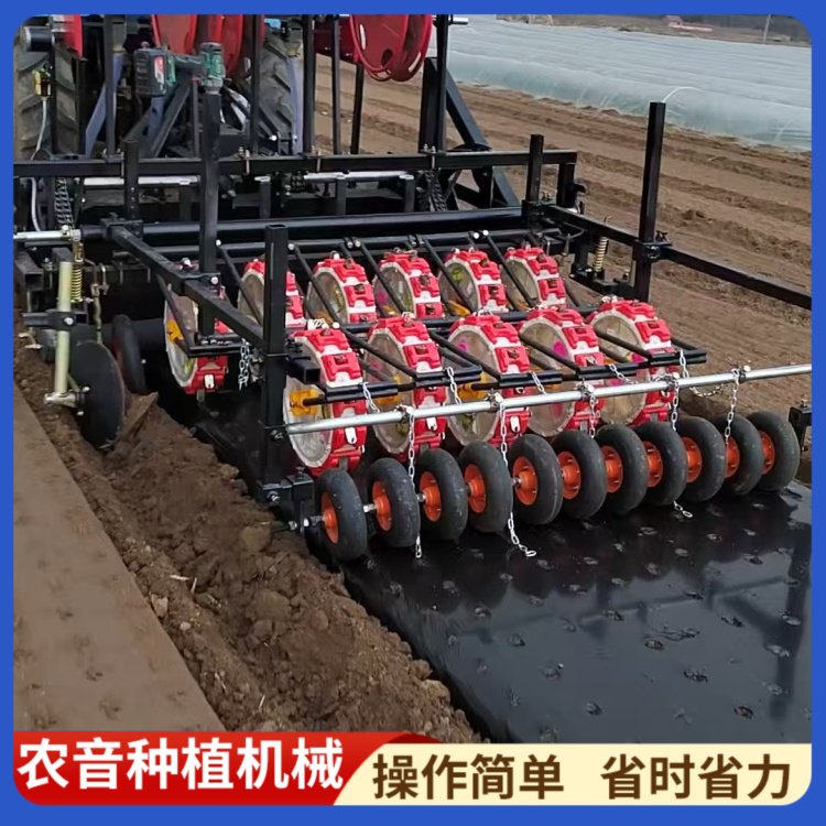紫苏种植机械 规格多样 操作简单 自动化程度高 欢迎来电