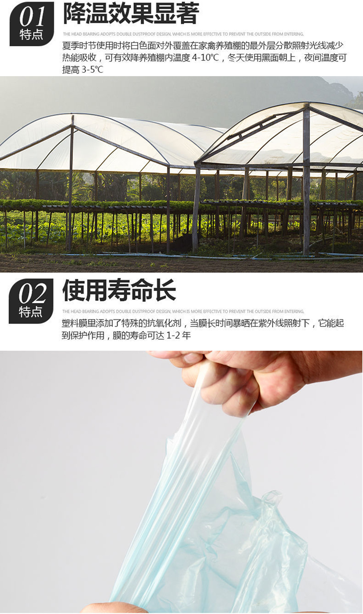 Shuaifeng Greenhouse Plastic Greenhouse Film Greenhouse Film PE Transparent Film Manufacturer Long term Cooperation Purchase by Phone