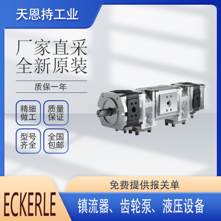 德国 ECKERLE EVL12 3603 L7W 110 电子镇流器 齿轮泵 全新 厂家直采