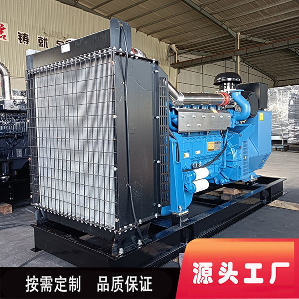 250kw diesel generator cost enterprise mall medical large rental Gutai Machinery