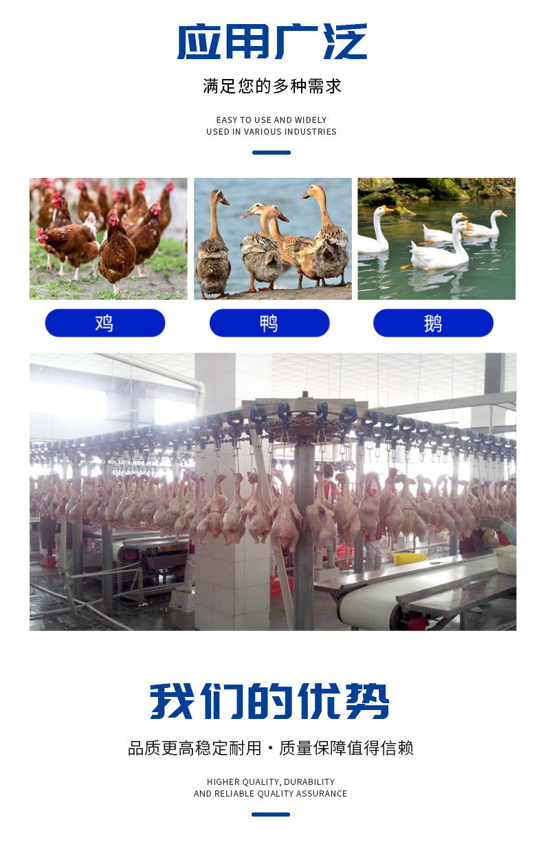 Fully automatic vertical poultry hair removal machine, stainless steel hair removal and feather removal machine for chickens, ducks, geese, Zhisheng