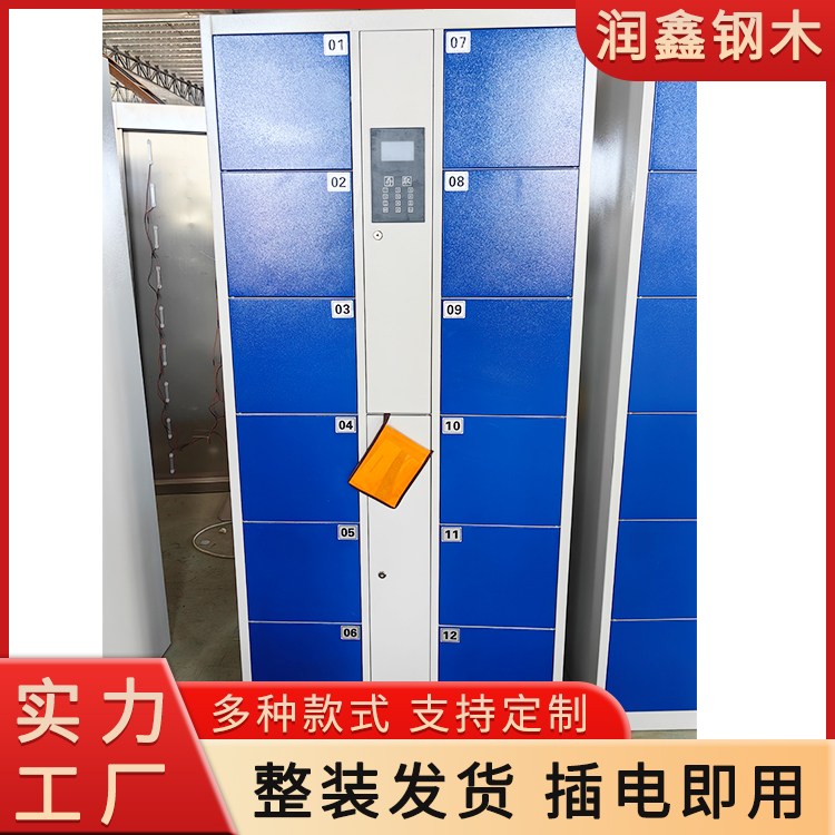 润鑫 景区存包柜 共享自助扫码存取 单箱尺寸可按需定制 源头工厂