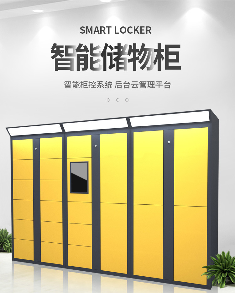 Sansenwo Station Luggage Scenic Area Hotel Airport Parcel Cabinet Intelligent Modern Simple WeChat Transparent Storage Cabinet