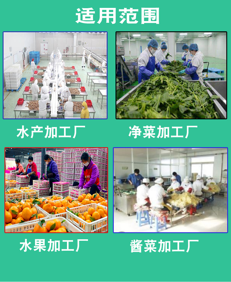 Multifunctional Fruit and Vegetable Cleaning Machine Spinach, Chrysanthemum, and Artemisia Bubble Cleaning Machine Customized Vegetable Washing Equipment