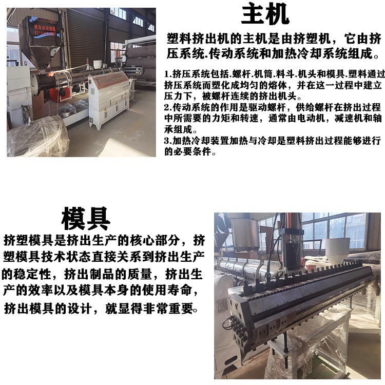 Zhongnuo Customized Siphon Composite Drainage Board Equipment PP Plastic Sheet Production Line Customizable