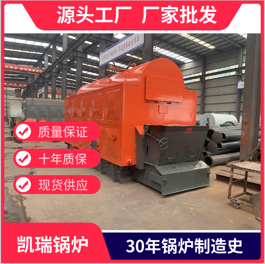 Source Factory DZL2-1.25-SII Model 2-ton Chain Biomass Particle Steam Boiler