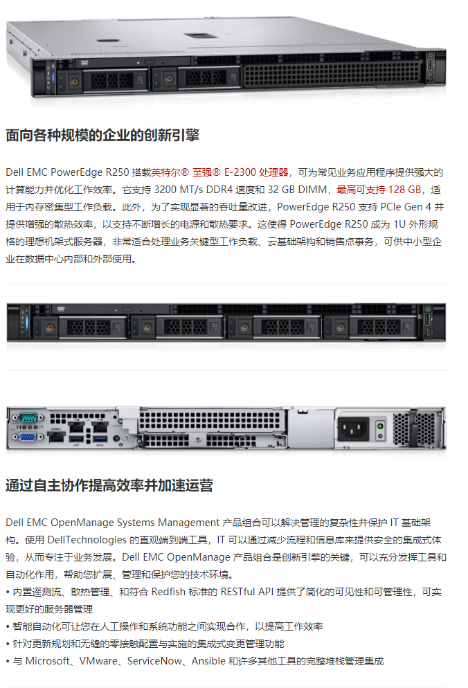 Dell PowerEdge R250/R350 Rack Mounted Server File/Database 108