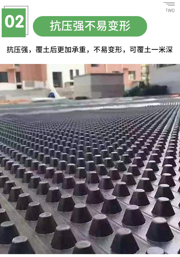 Convex convex drainage board, plastic water storage board, roof greening drainage board, roof garden plant root blocking board