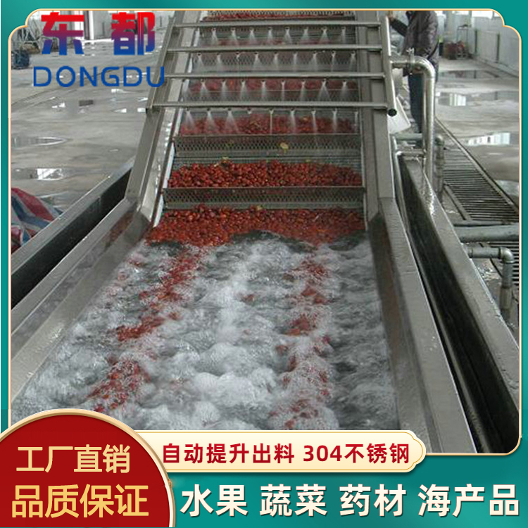 Vegetable vortex cleaning assembly line, Dongdu multifunctional celery embryo chrysanthemum killing equipment, large fruit and vegetable cleaning machine