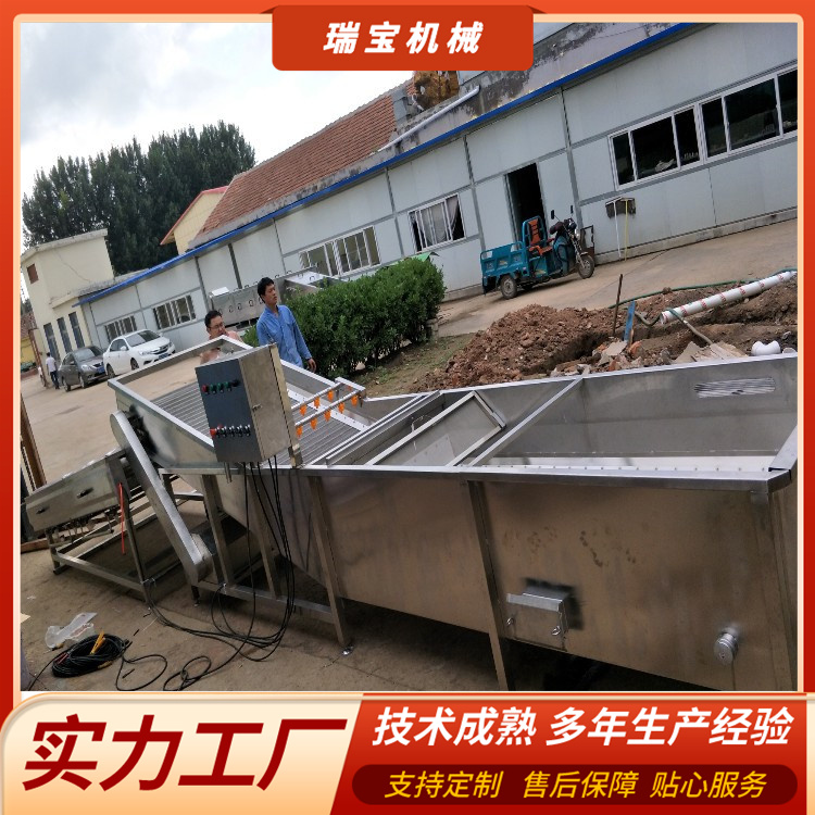 Ruibao Fruit and Vegetable Goji Mushroom Bubble Cleaning Machine Bubble Olive Vegetable Cleaning Equipment