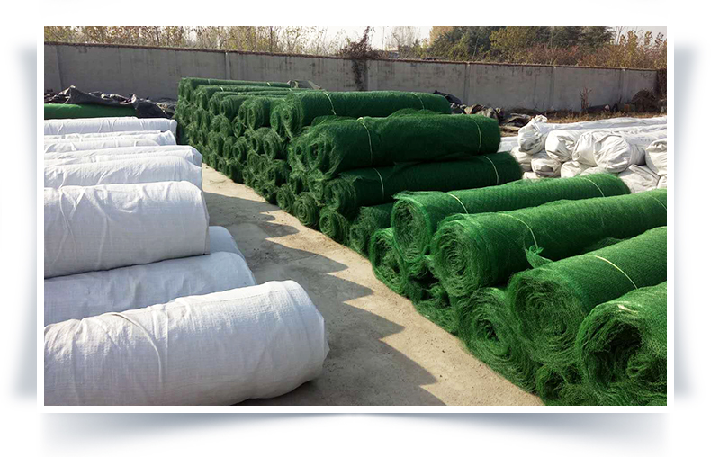 Green Grass Planting Net, Slope Greening, 3D Vegetation Net, Ecological Slope Protection EM2/EM3 Geonet Cushion Geonet