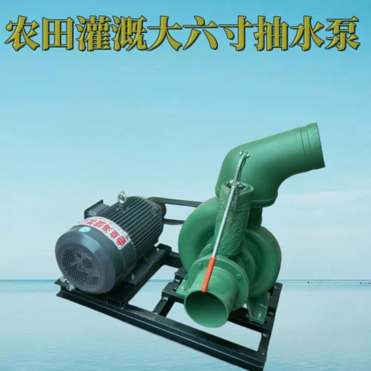 Fish pond water pumping pump 10 inch 12 inch tractor sewage pump high lift 4 inch sprinkler pump